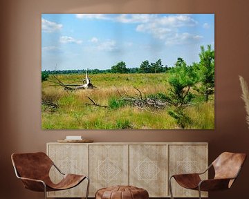 Natuurlandschap met oude boomstronk en een blauwe lucht van Kristof Leffelaer