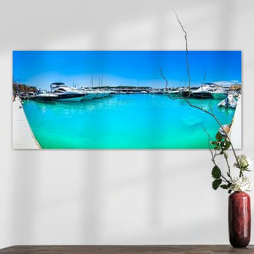 Yachts de luxe à la marina de Port Adriano à Majorque, îles Baléares