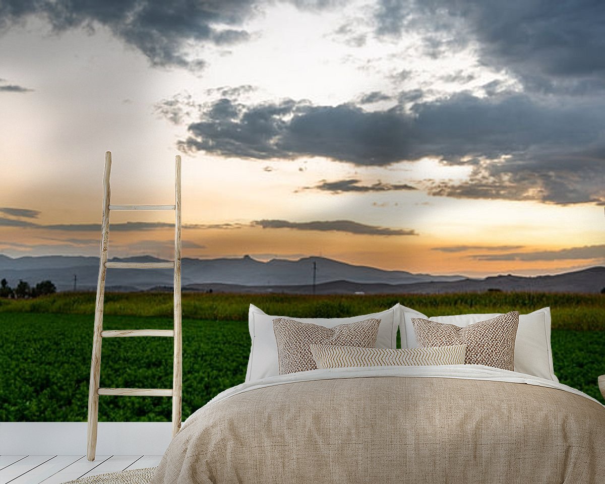 Raumvorschau