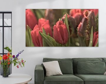 Rote Tulpen von Kirsten Warner
