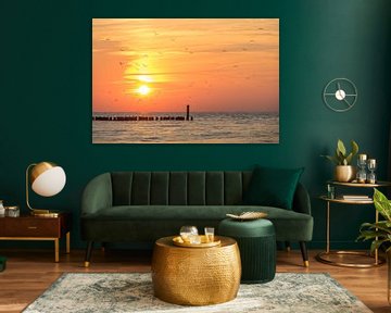 Breakwater and seagulls on the beach of Domburg during the sunsetga by John van de Gazelle fotografie