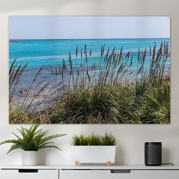 azurblaues Meer und Schilfgürtel auf Sardinien