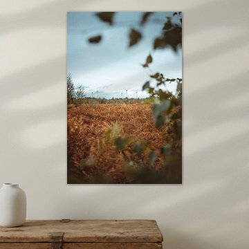 Windmühlen vom Haaksbergerveen