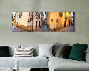 Panoramic view of city center alley in Palma de Mallorca, Spain by Alex Winter