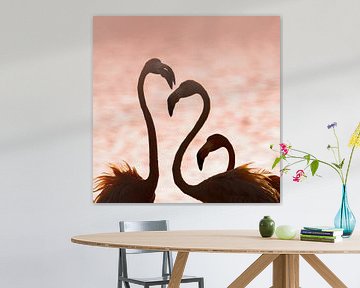 Flamingo's in het laatste licht van Bas Ronteltap