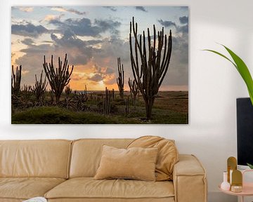Sunrise on Bonaire between the cacti by Bas Ronteltap