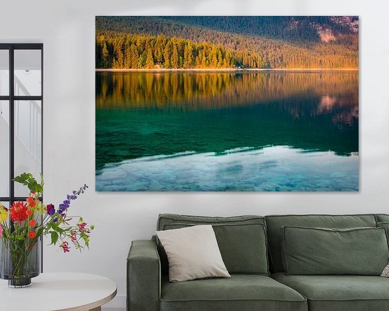 Aperçu de la chambre