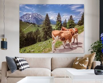 Kühe in den Berchtesgadener Alpen mit Watzmann im Hintergrund von Animaflora PicsStock