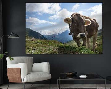 Koe langs de Fluelapass in Zwitserland van Rianne van Baarsen