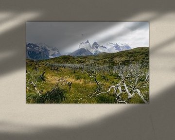 Wanderweg im Torres del Paine Nationalpark mit Ausblick auf das Torres Paine Massiv