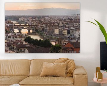 Blick auf die Altstadt von Florenz von Shanti Hesse