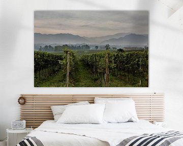 Franciacorte Wine Fields Italy by Christel Smits