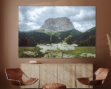 Langkofel in den Dolomiten von Youri Zwart