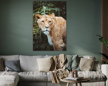 Lion up close by Youri Zwart