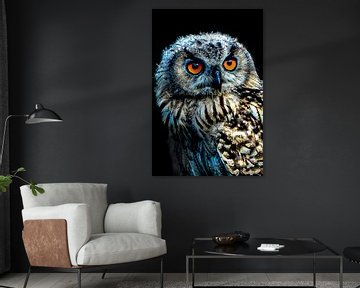 Owl by Frames by Frank