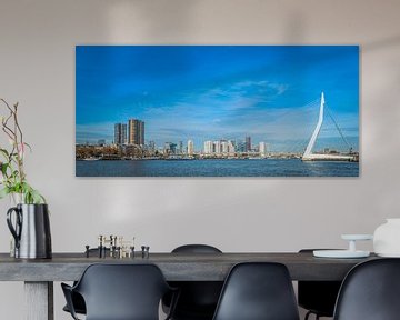 skyline van Rotterdam met de erasmusbrug over de rivier de maas