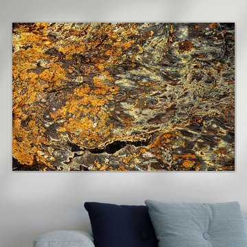 Lichens on the rocks