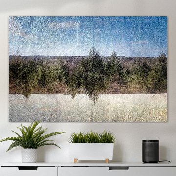 Veluwe forest with central border of trees