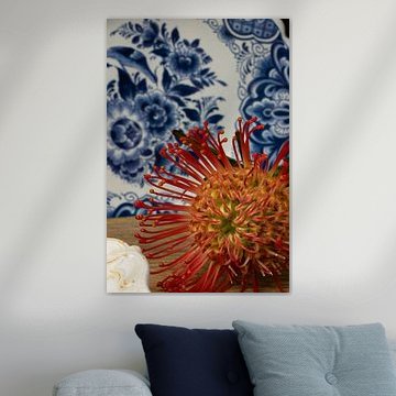 red pincushion flower