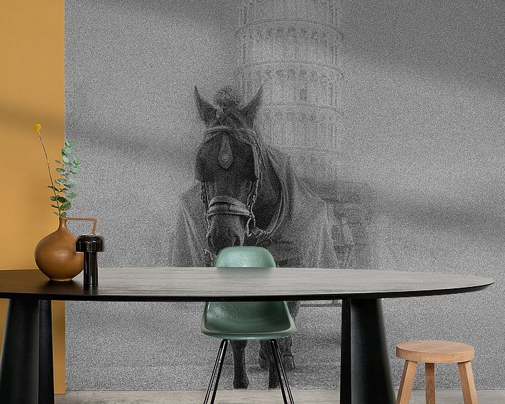 Beispiel fototapete: Pferd mit Decke Pisa Toskana von Frank Andree