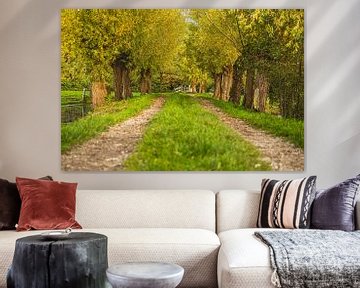 beau sentier de promenade à travers le polder dans la région de Krimpenerwaard sur Lima Fotografie