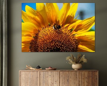 Sonnenblume mit Biene von Blond Beeld