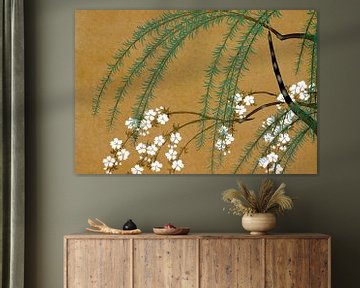 Japanese cherry blossoms by Mad Dog Art
