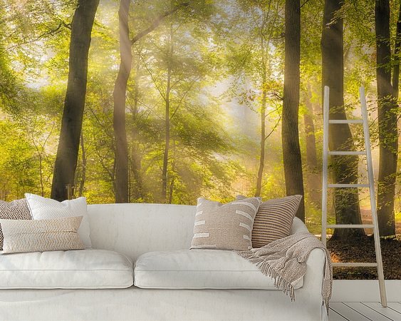 Raumvorschau