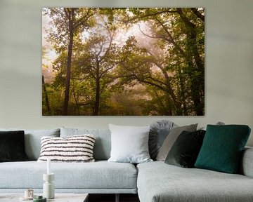 Buchenwaldlandschaft an einem nebligen Herbstmorgen mit Sonnenlicht durch die Baumkronen von Sjoerd van der Wal Fotografie