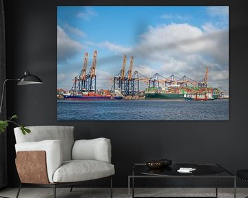 Container ships at the container terminal in the port of Rotterdam by Sjoerd van der Wal