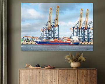 Containerschip Esperance bij de containerterminal in de haven van Rotterdam van Sjoerd van der Wal