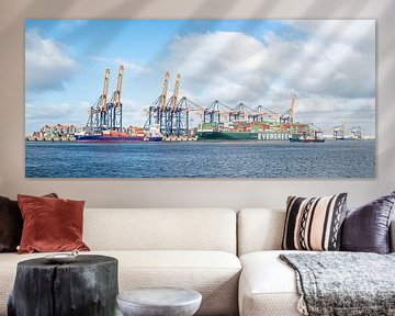 Containerschiffe am Containerterminal im Hafen von Rotterdam von Sjoerd van der Wal