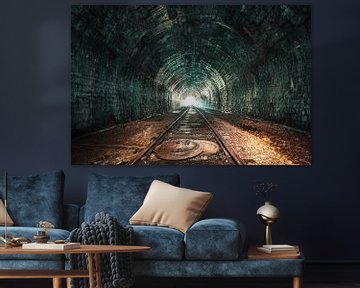 De oude spoorwegtunnel van MindScape Photography
