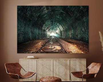 De oude spoorwegtunnel van MindScape Photography