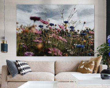 Wild Flowers