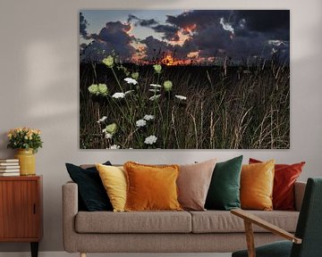 Zonsondergang met bloemen / Sunset with flowers van Henk de Boer