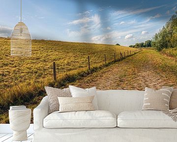 Weg mit unregelmäßig geformten Betonsteinen auf dem Boden eines Deiches von Ruud Morijn