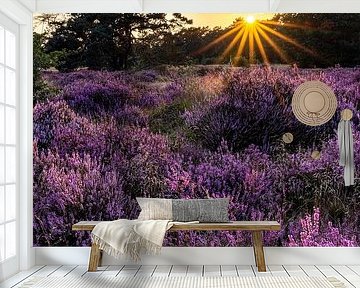 Sunset over the heath by Rob IJsselstein