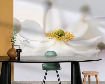 Dreamy Anemone by Bob Daalder