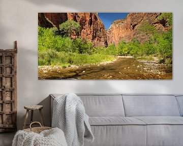 Riverside Walk in Zion National Park van Markus Lange