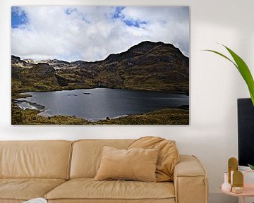 Cajas National Park, Ecuador by Karsten van Dam