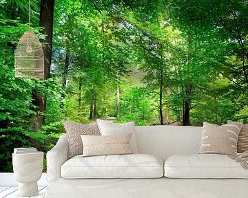 Forest path in Emmen by Corinne Welp