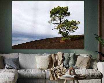 Einsamer Baum von Karsten van Dam