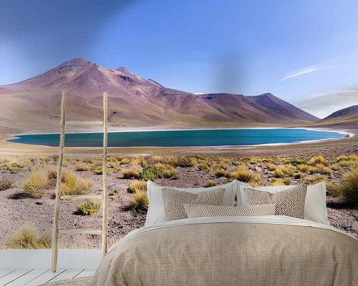 Beispiel fototapete: Miscanti Lagune in der Atacamawüste in Chile von Shanti Hesse