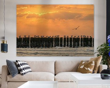 Möwen auf einem Wellenbrecher bei Sonnenuntergang von John van de Gazelle