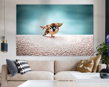 Tanzsperling / Yoga-Sperling von Marlies Gerritsen Photography