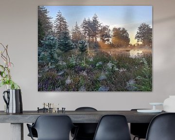 Sonnenaufgang auf der Hoge Veluwe in den Niederlanden an einem nebligen Morgen von Eye on You