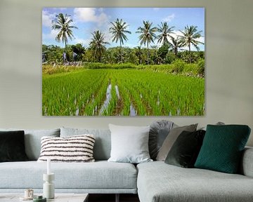 A rice field on Bali in Indonesia by Eye on You