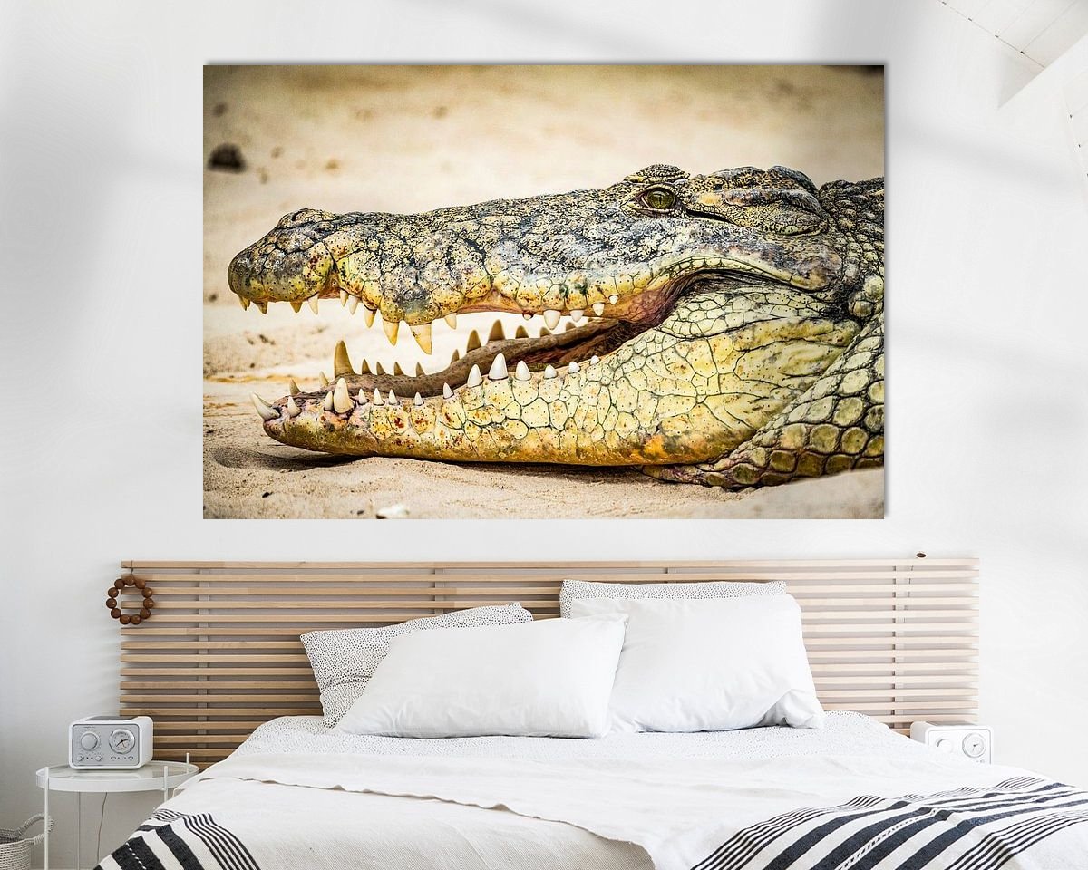 Raumvorschau
