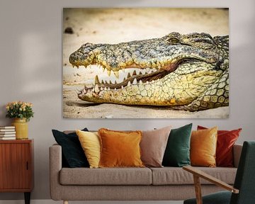 Ein Krokodil von Dennis Venema